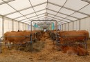 Mayo, mes de las ferias en Langreo