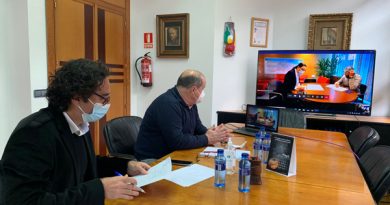 Reunión telemática entre el alcalde, José Ángel Álvarez ‘Quirós’ y la viceconsejera de Medio Ambiente, Nieves Roqueñí.