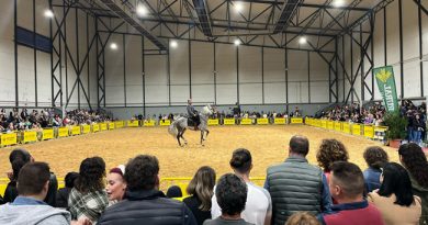 Vuelve la magia ecuestre a Laviana