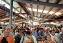 El queso casín se reivindica