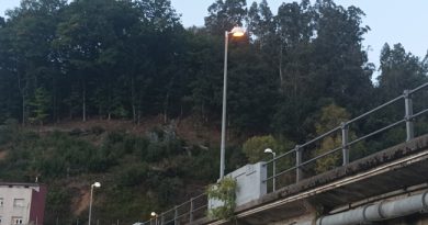 Farolas en el Puente de La Chalana