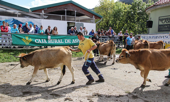 Feria de ganado casina el pasado año.