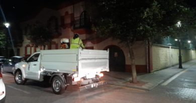 La actuación se lleva a cabo durante la noche y consiste en la aplicación de jabón potásico en la vía pública